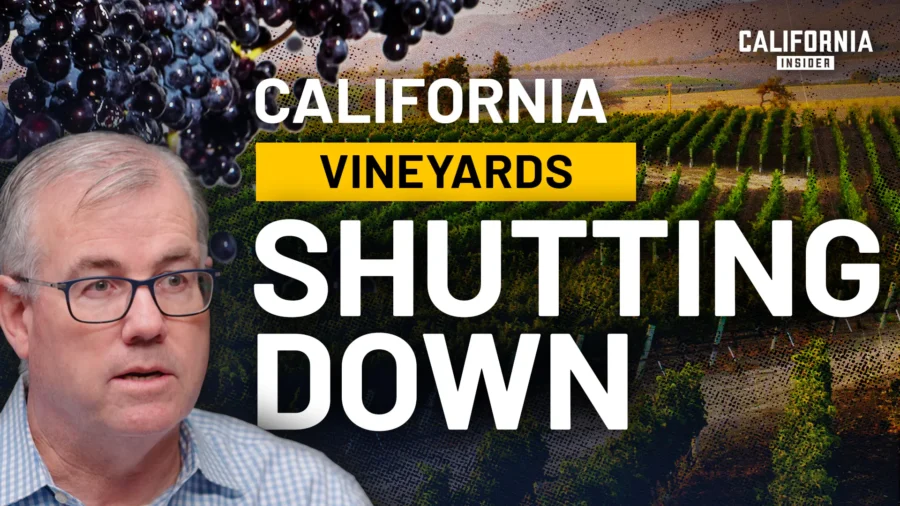 California’s Wine Industry Faces $20 Billion Loss—What’s Happening? | Stuart Spencer