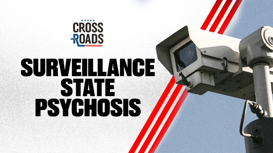 Is Mass Surveillance Making Us Crazy?