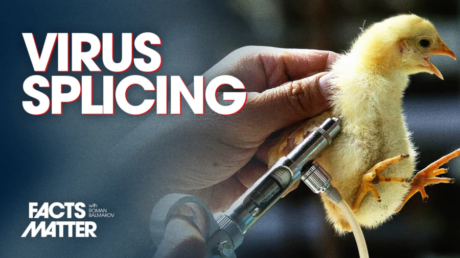 Scientists in Georgia Manufacture New Lab-Made Strain of H5N1 Bird Flu Virus | Facts Matter