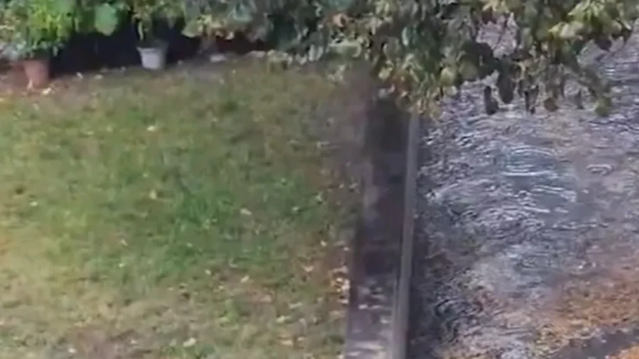 NYC Flooding: Cars, Pedestrians Navigate Knee-Deep Floodwaters