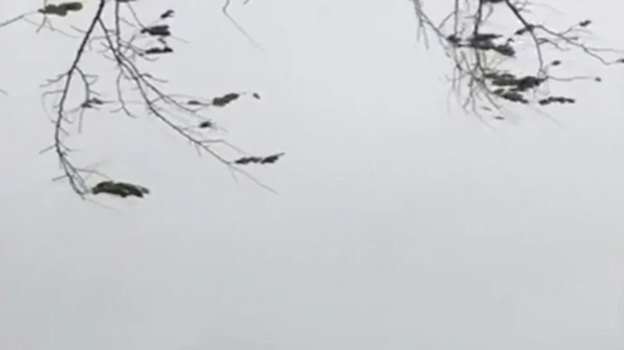 Connecticut: Barges Washed Aground in Coastal Storm