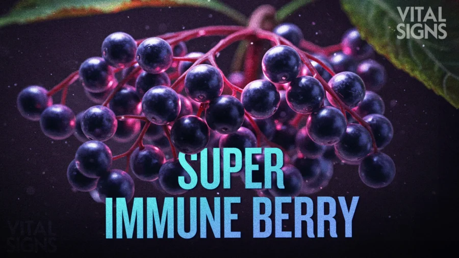 Elderberry Versus Elderflower Against Colds, Flu, and COVID