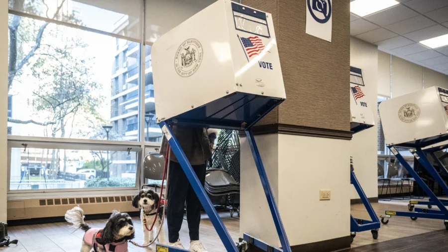 NYC Sees Largest Early Voting in a Mayoral Race in History