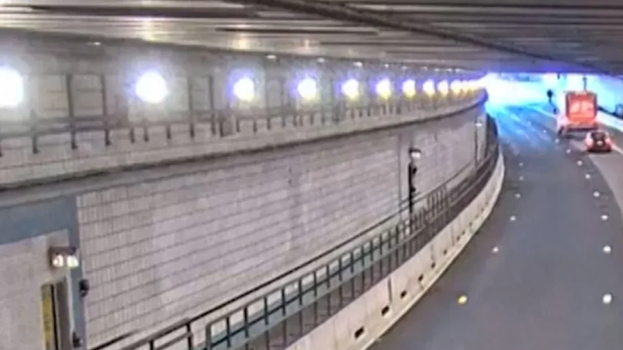 Wrong-Way Rover: Dog Rescued From Busy Boston Tunnel During Rush Hour