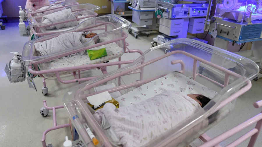 China Has Designated Infants for Organ Transplants, Reports Find