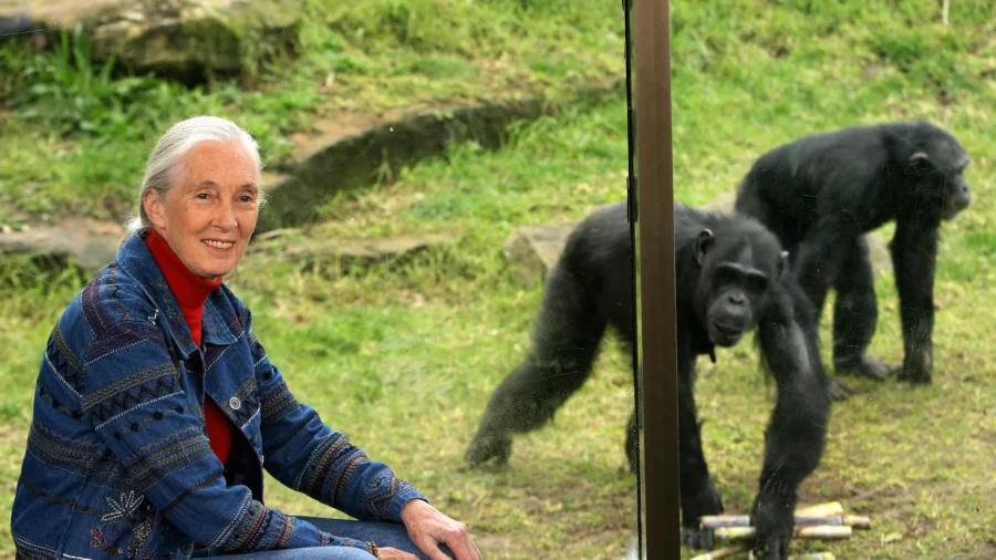 Funeral Service Held for Conservationist Jane Goodall