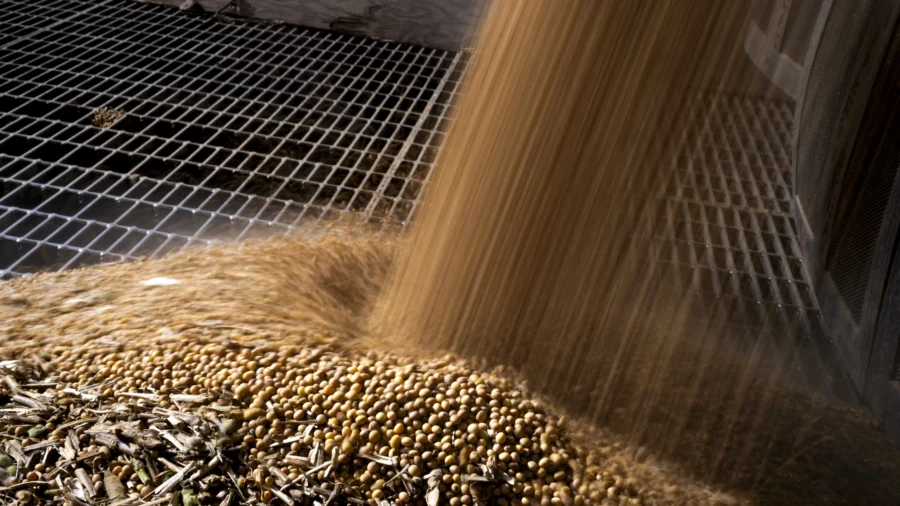 China’s Purchases of US Soybeans Stall Amid Trade Truce