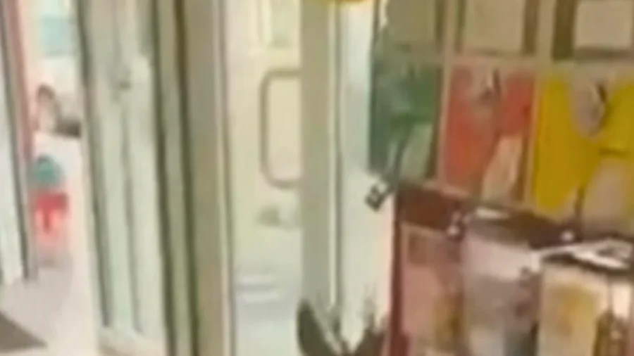 Deer Skids Through Russian Grocery Store, Needs Help to Escape