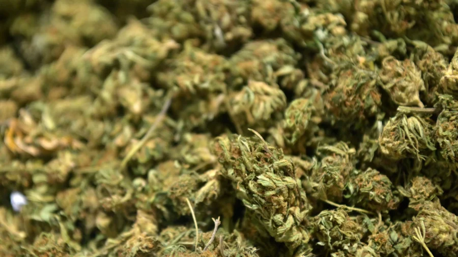 THC Gummies, Drinks Could Be Banned Under New Federal Spending Bill