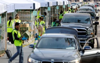 Communities Rally With Food Drives to Feed Families This Thanksgiving