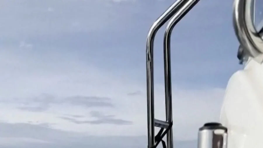 Seal Seeks Refuge on Photographers' Boat While Fleeing Pod of Orcas