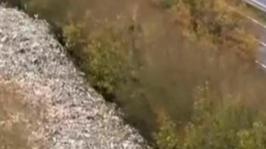 Hundreds of Tonnes of Waste Illegally Dumped in Field in Southern England