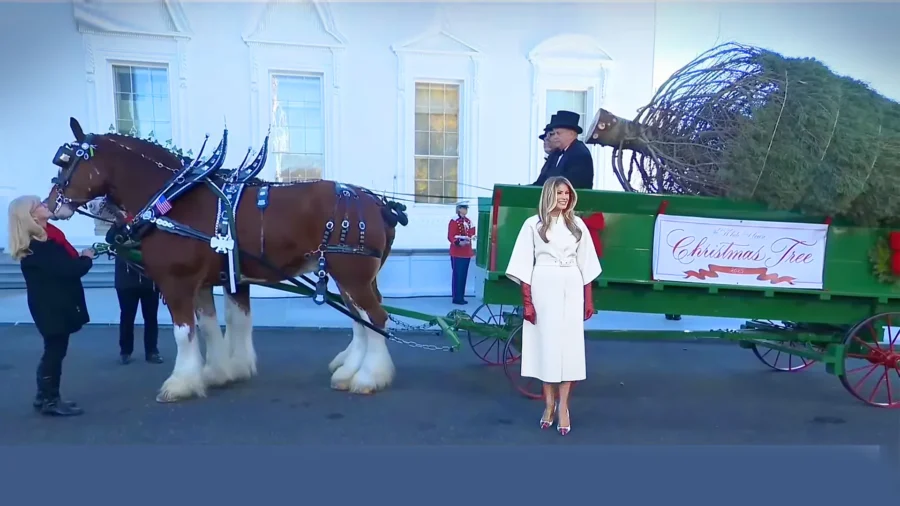 First Lady Welcomes the 2025 White House Christmas Tree
