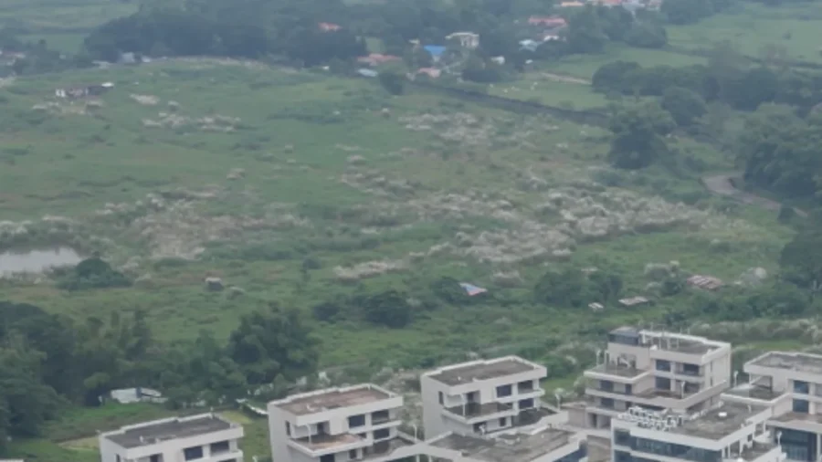 CNN Tours Chinese Crime Boss’s Lavish Mansion