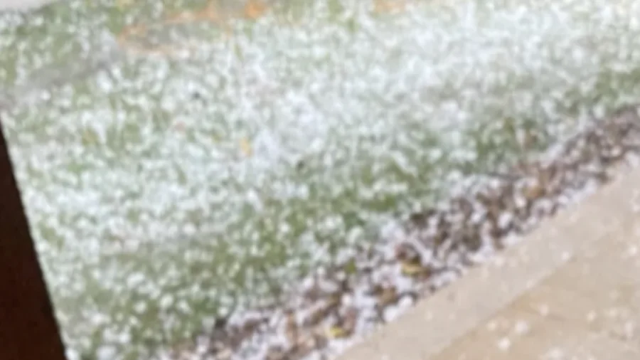 Hailstones White-Out Southern Brazil, Leaving Over 200 Injured