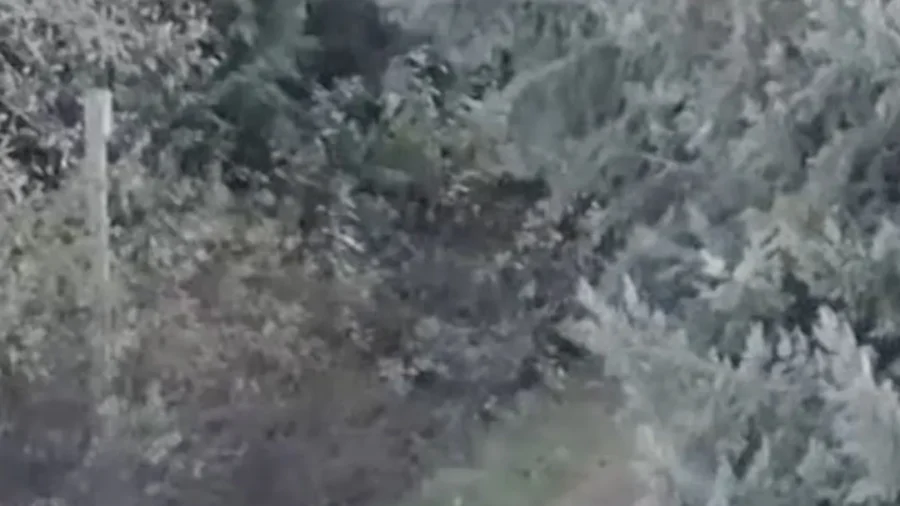 Police Drone Helps Locate Elderly Bike Rider Accident