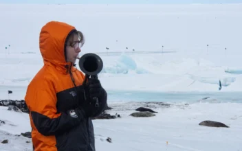 New Zealand Navy Musician Performs in Antarctica