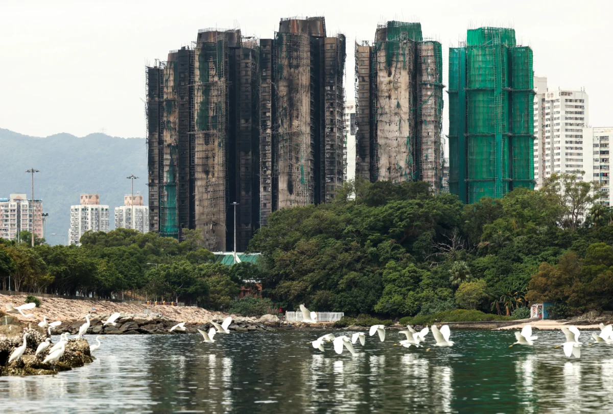 Birds fly next to burned buildings of the Wang Fuk Court housing complex after the deadly fire, in Tai Po, Hong Kong, on Nov. 30, 2025. (Maxim Shemetov/Reuters)