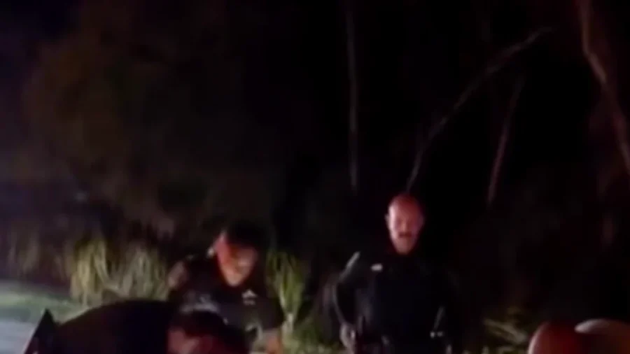 Florida Deputies Remove 600-Pound Alligator From Sarasota County Roadway