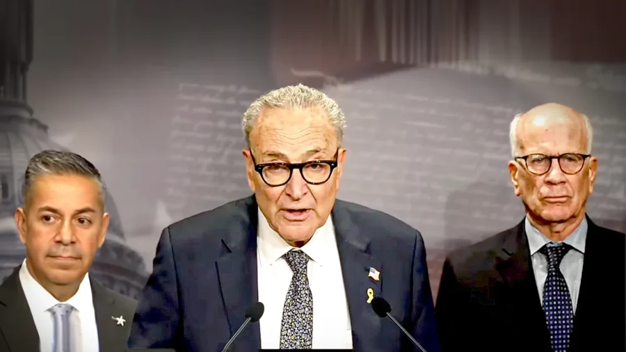 Schumer Holds Press Conference on US Health Care