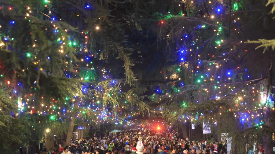 Christmas Tree Lane Commemorates Victims of California Fires