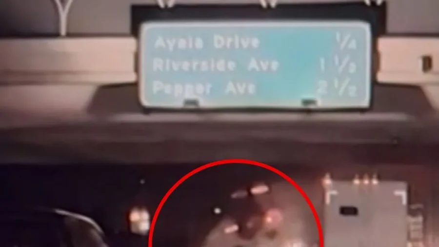 Dashcam Shows Truck Launching Off Overpass in California