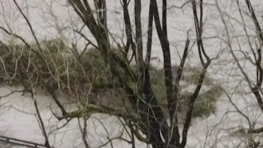 Drone Video Shows Extent of Flooding in Washington State