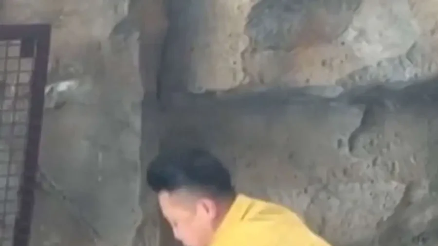 Eyewitness Videos Show Handlers Restraining Bear at China Wildlife Park