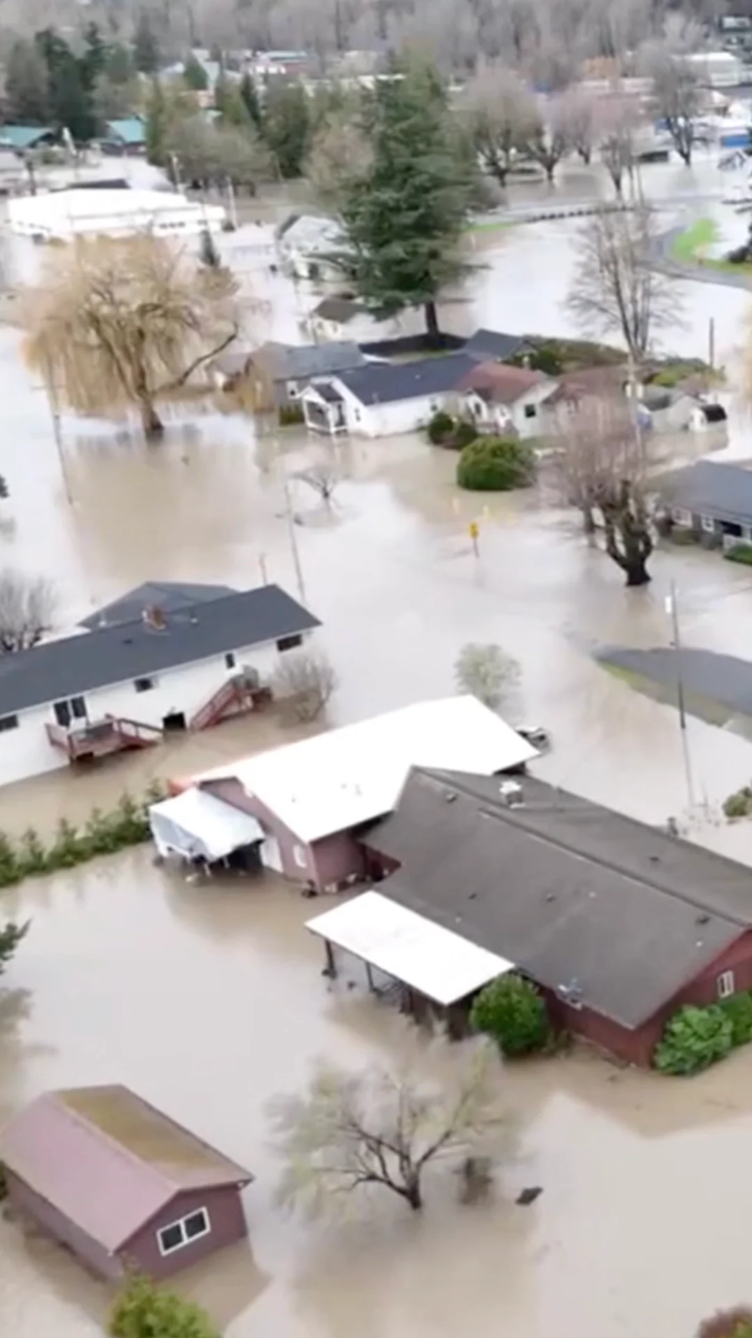 Aerials Footage Shows Floodwaters in Sumas, Washington State | NTD