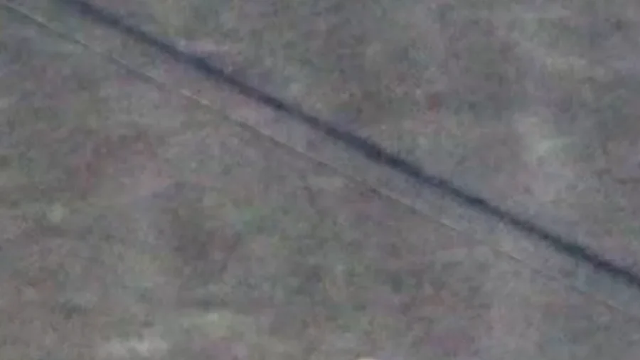 Drone Drops Life Jacket to Man Stranded on Top of Car Amid Washington Flood