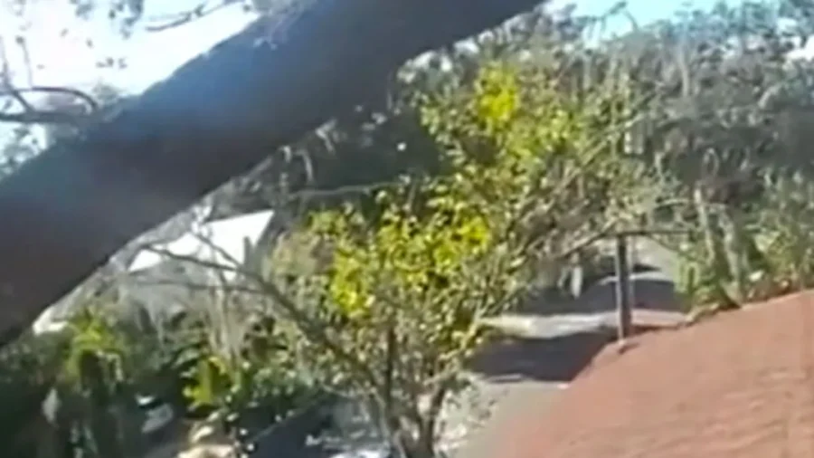Florida Police Rescue Elderly Man Dangling Off Roof