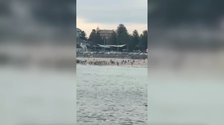 Video: Crowd Flees the Scene as 2 Gunmen Open Fire at Sydney’s Bondi Beach