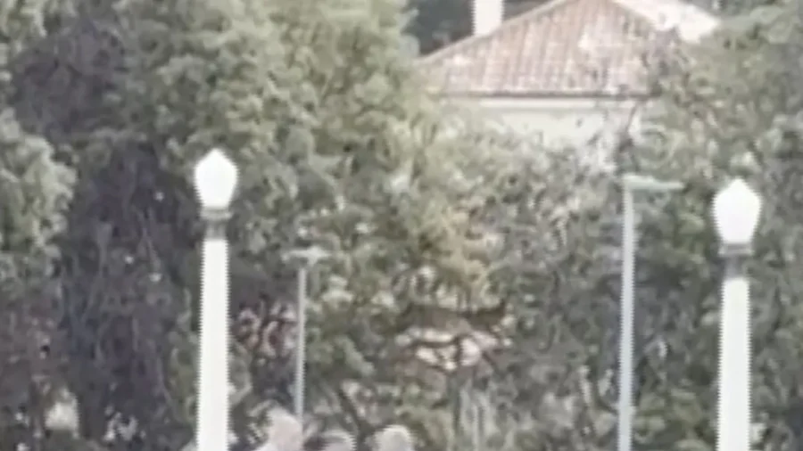 Video Captures Moment Police Tackle Gunman on Bridge in Sydney Shooting