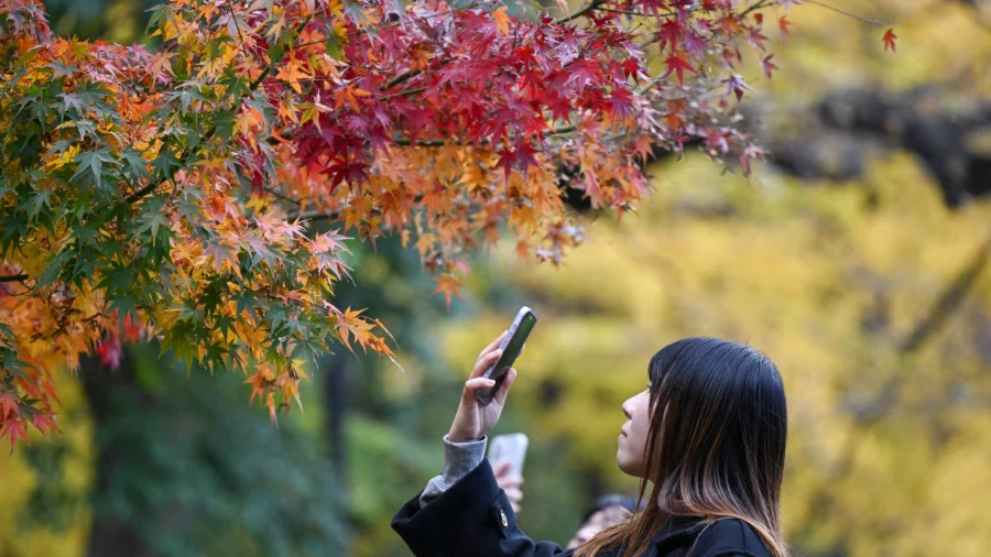 Foreign Visitor Numbers to Japan Up 10 Percent in November, Despite China Travel Boycott