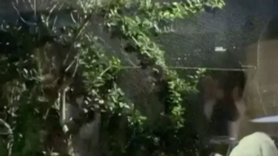 Soccer Legend Messi Tours Ambani Family Zoo in India’s Gujarat