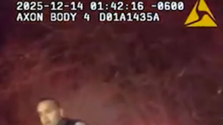 Dramatic Frozen Pond Rescue in Illinois Caught on Camera