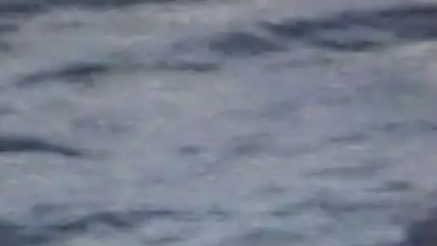 Coast Guard Rescues Fisherman From Burning Boat Off Florida Coast