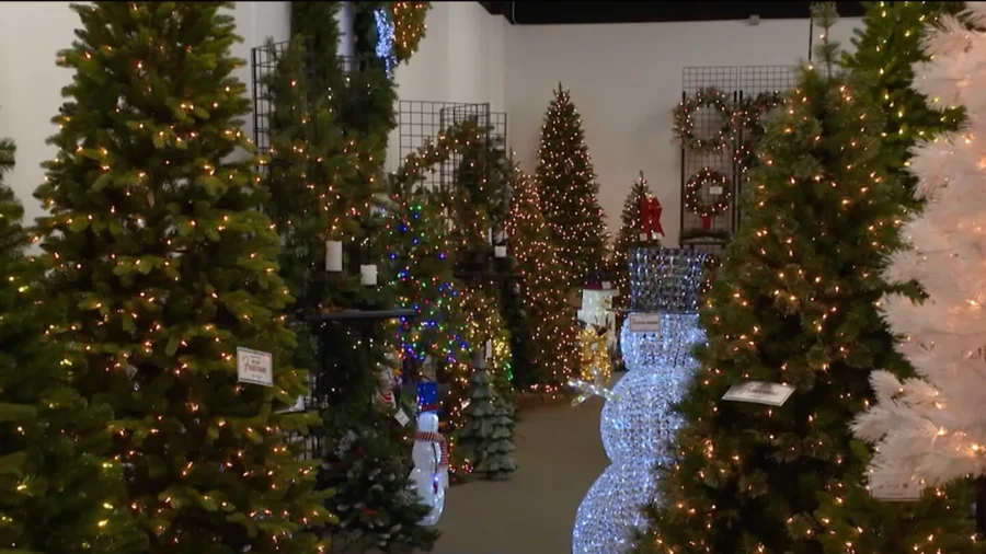 The Christmas Tree Battle: Real Versus Fake