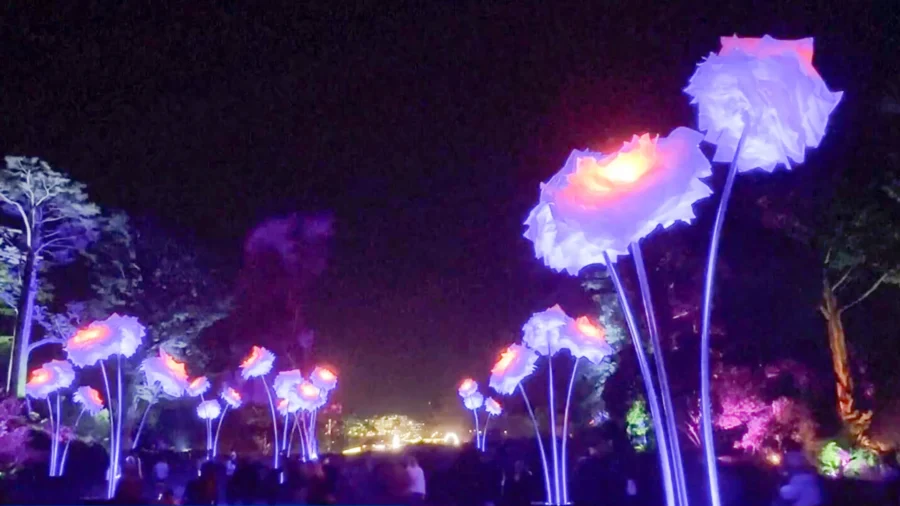 Art Installations Draw Crowds to San Francisco Park