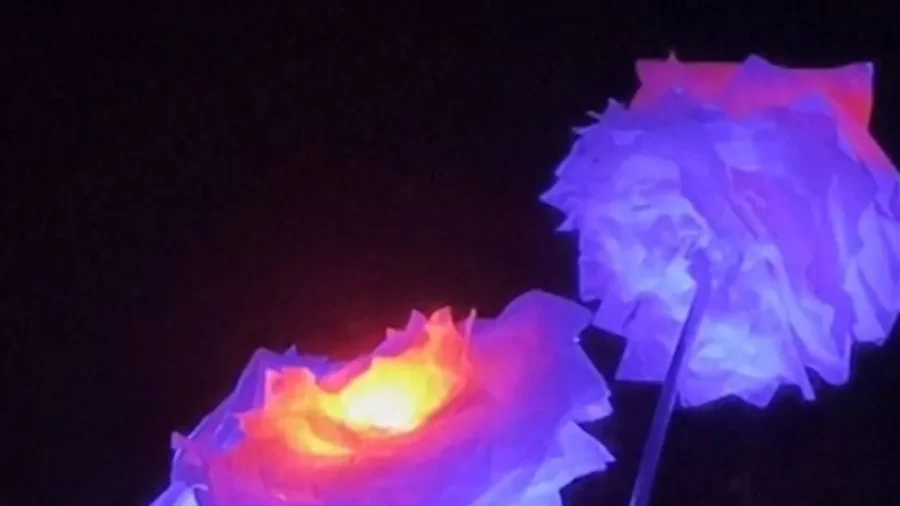 'Lightscape' Art Installations Draw Crowds to San Francisco's Golden Gate Park