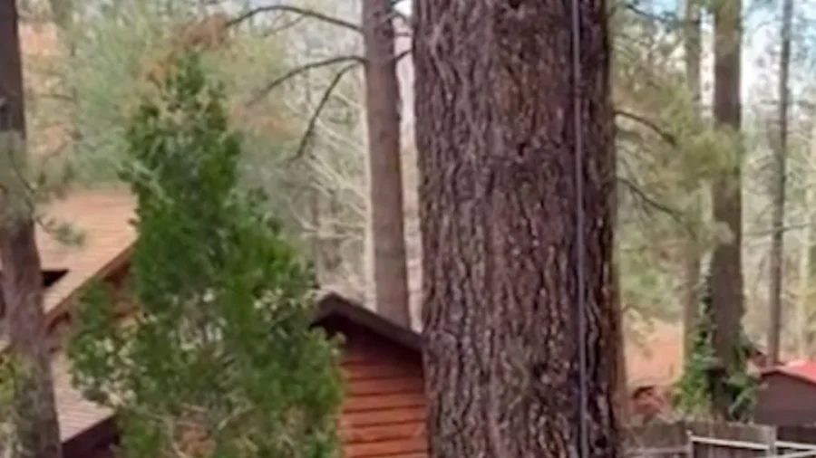 Houses and Cars Buried in Debris After Flooding in Wrightwood, California