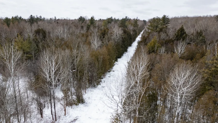 Snow Blankets New York as Winter Storm Sweeps Across the Northeast