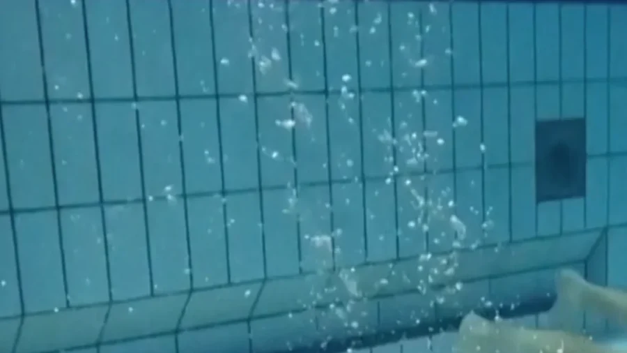 World Champion Crowned as 'Diving Chess' Players Battle It out Underwater