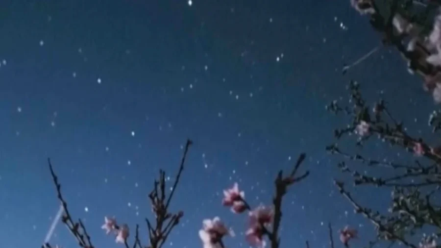 Hungarian Astrophotographer Records Night Sky Each Season in 2025