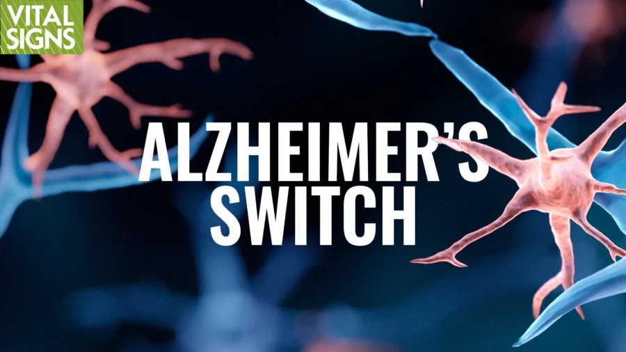 Shift Immune Cells from Attack to Brain-Defense Mode | David Perlmutter MD