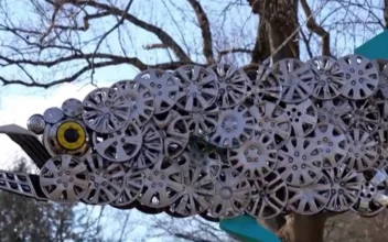 Baltimore Cyclist Collects Lost Hubcaps, Turns Them Into Art