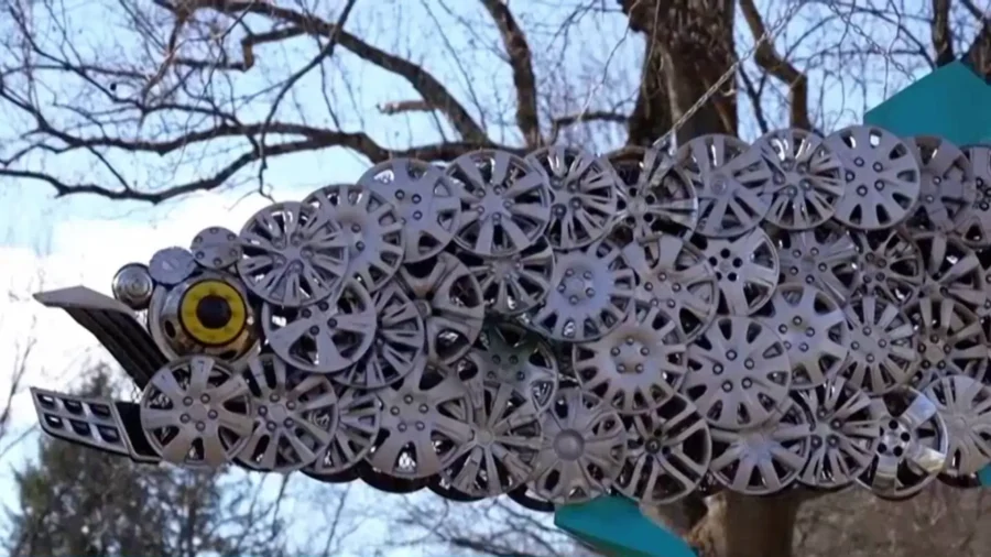 Baltimore Cyclist Collects Lost Hubcaps, Turns Them Into Art