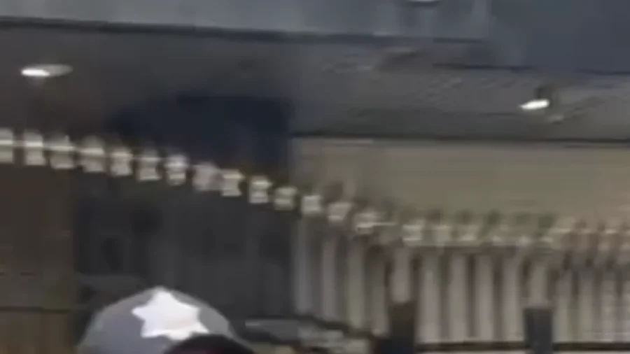 Chinese Consulate Security Guard Pepper Sprays People Celebrating Maduro's Arrest
