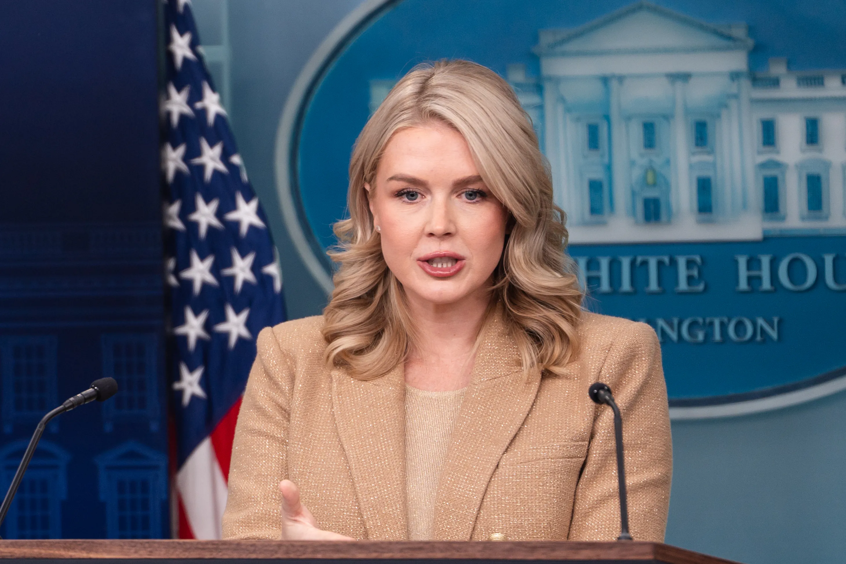 US Purchase of Greenland Being 'Actively Discussed,' Says White