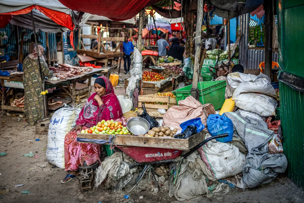A vendor waits for customers at her fruit and vegetable stall in the Waheen Market of Hargeisa, Somalia, on Nov. 8, 2024. (Luis Tato/AFP via Getty Images)